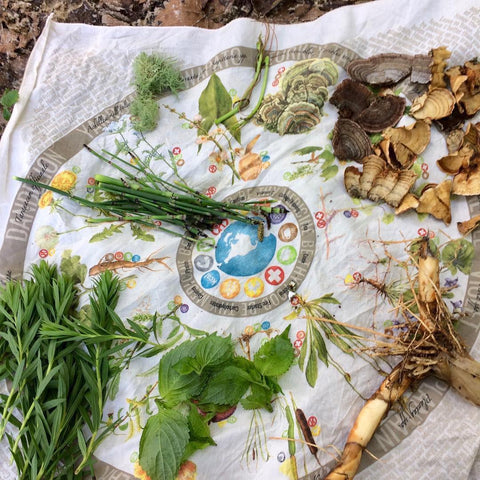 Foraging Bandana created by Mark Merriwether Vorderbruggen and Dr. Nicole Apelian